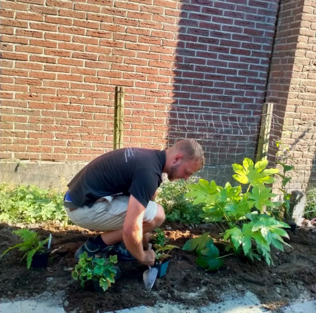 Beplanten